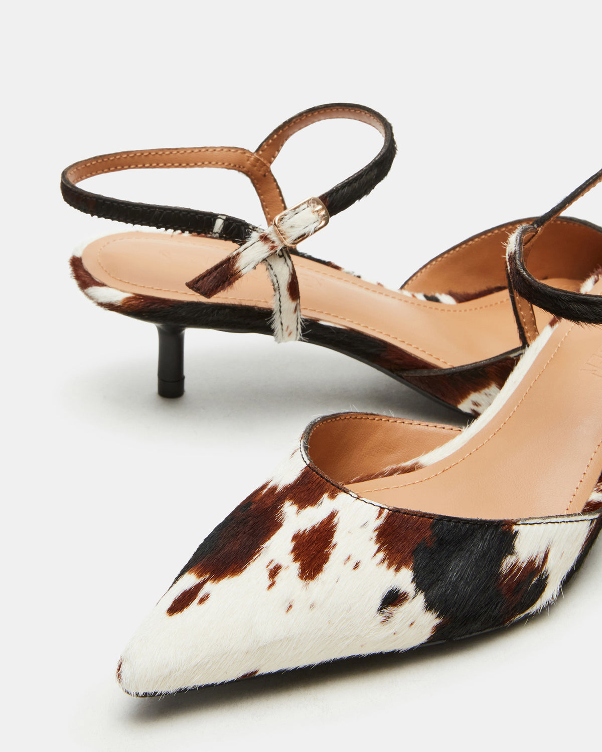 ADELAIDE Brown Cow Print Women's Pointed-Toe Kitten Heel | Steve Madden