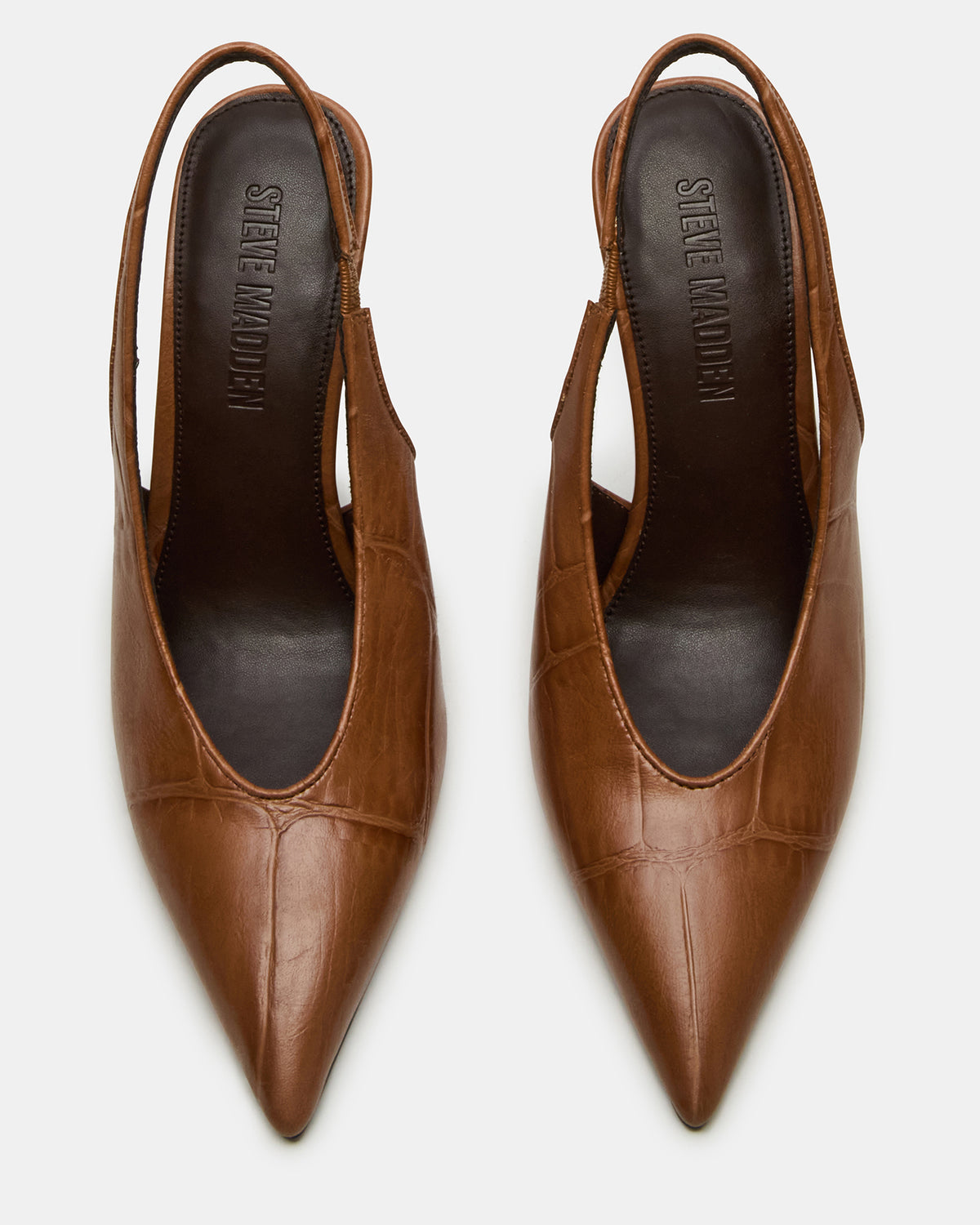 ANDROMEDA Tan Crocodile Slingback Pointed-Toe Stiletto Pump Women's Heel | Steve Madden