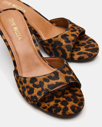 KENDRIX Leopard Women's Mule Heel | Steve Madden