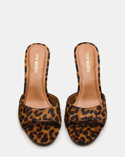 KENDRIX Leopard Women's Mule Heel | Steve Madden