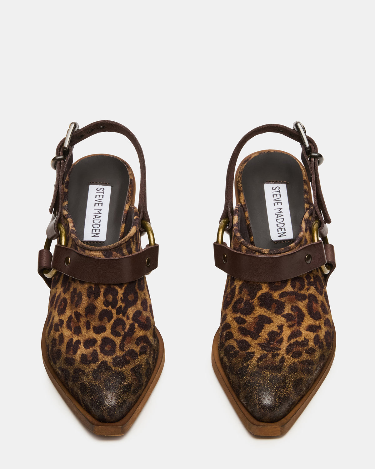 TALIKA Leopard Suede Pointed-Toe Buckle Slingback Women's Heel | Steve Madden