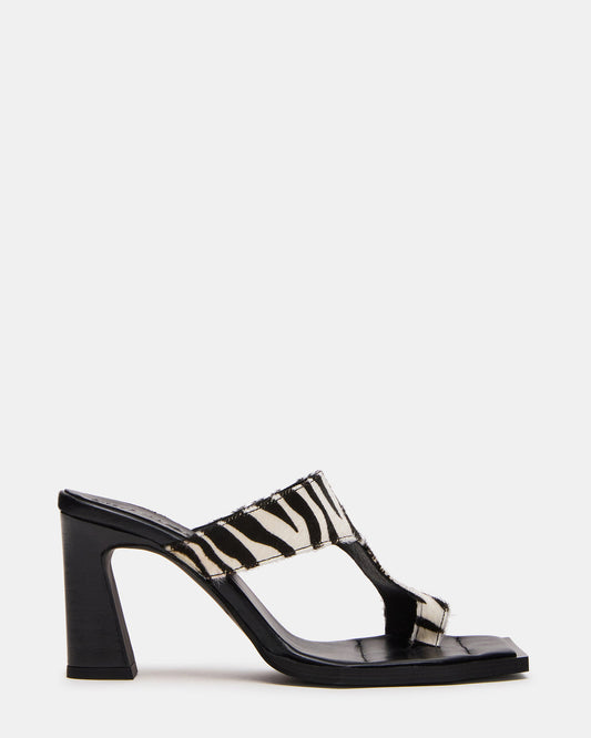 ALAMEDA Zebra Square-Toe Mule Women's Heel | Steve Madden