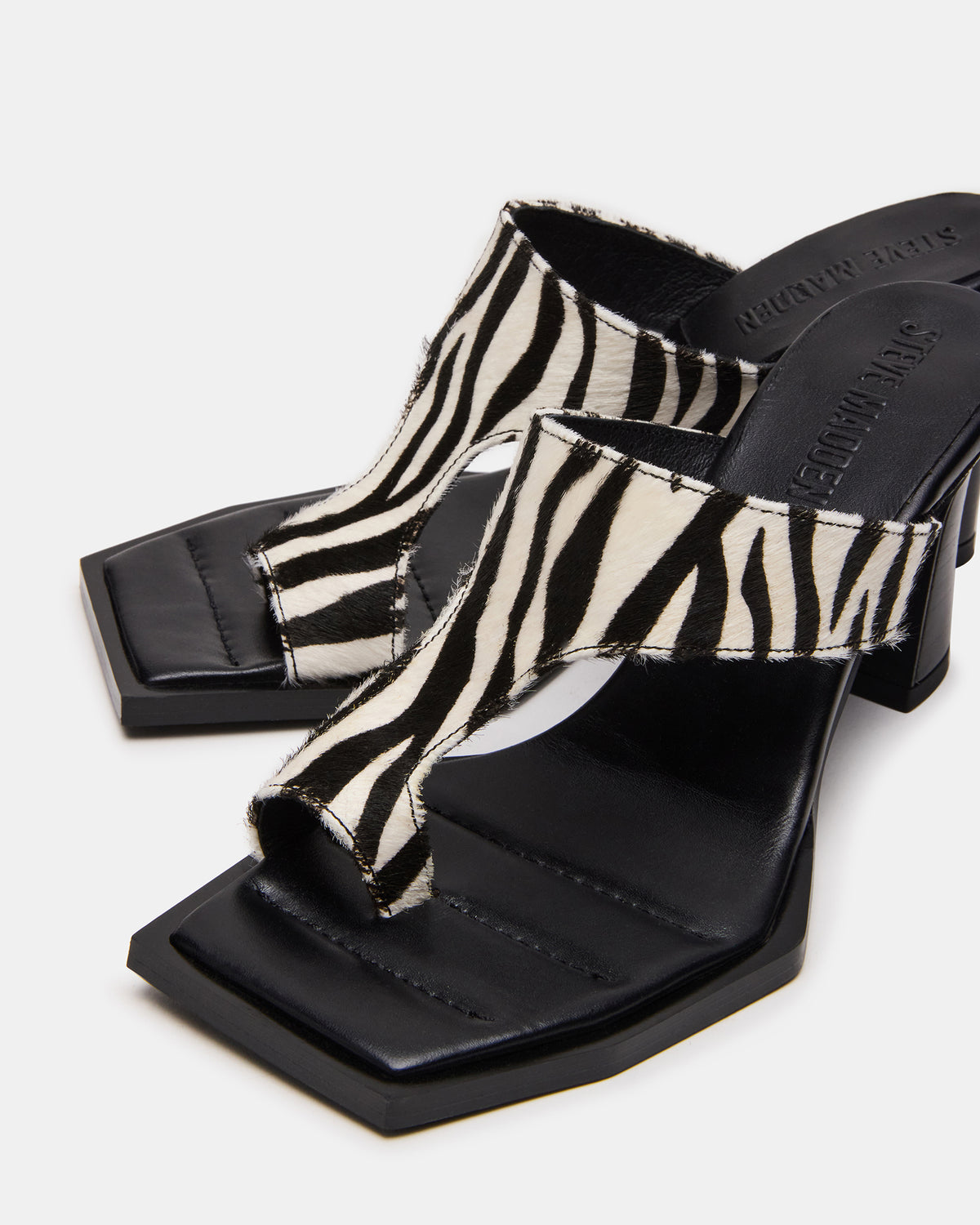 ALAMEDA Zebra Square-Toe Mule Women's Heel | Steve Madden
