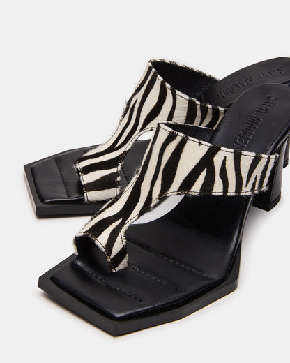 ALAMEDA Zebra Square-Toe Mule Women's Heel | Steve Madden
