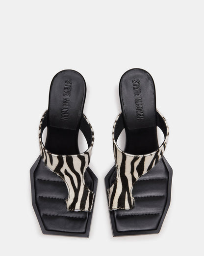 ALAMEDA Zebra Square-Toe Mule Women's Heel | Steve Madden