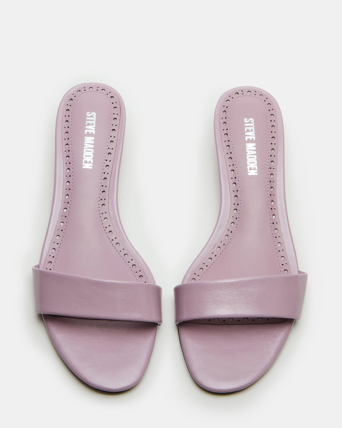 BERRY Pink Women's Mule Kitten Heel | Steve Madden
