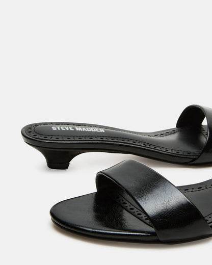 BERRY Black Women's Mule Kitten Heel | Steve Madden