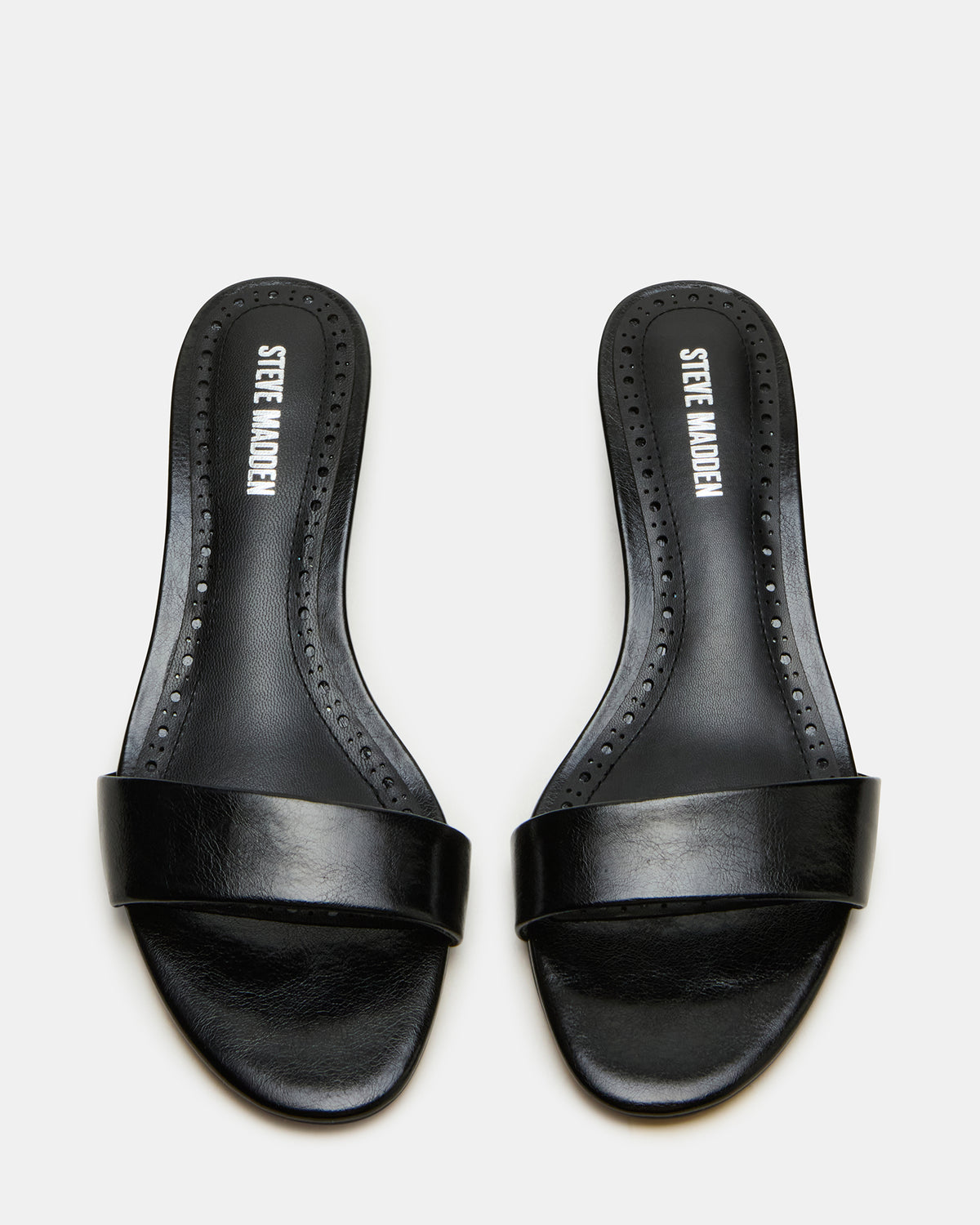 BERRY Black Women's Mule Kitten Heel | Steve Madden