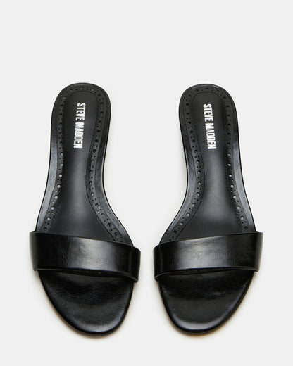 BERRY Black Women's Mule Kitten Heel | Steve Madden