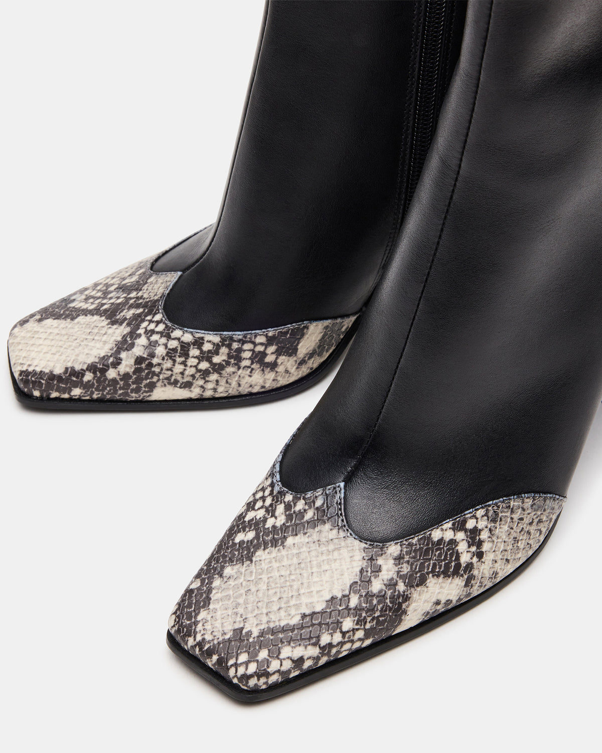 LYLE Black Leather with Snake Square-Toe Heeled Women's Ankle Boot | Steve Madden