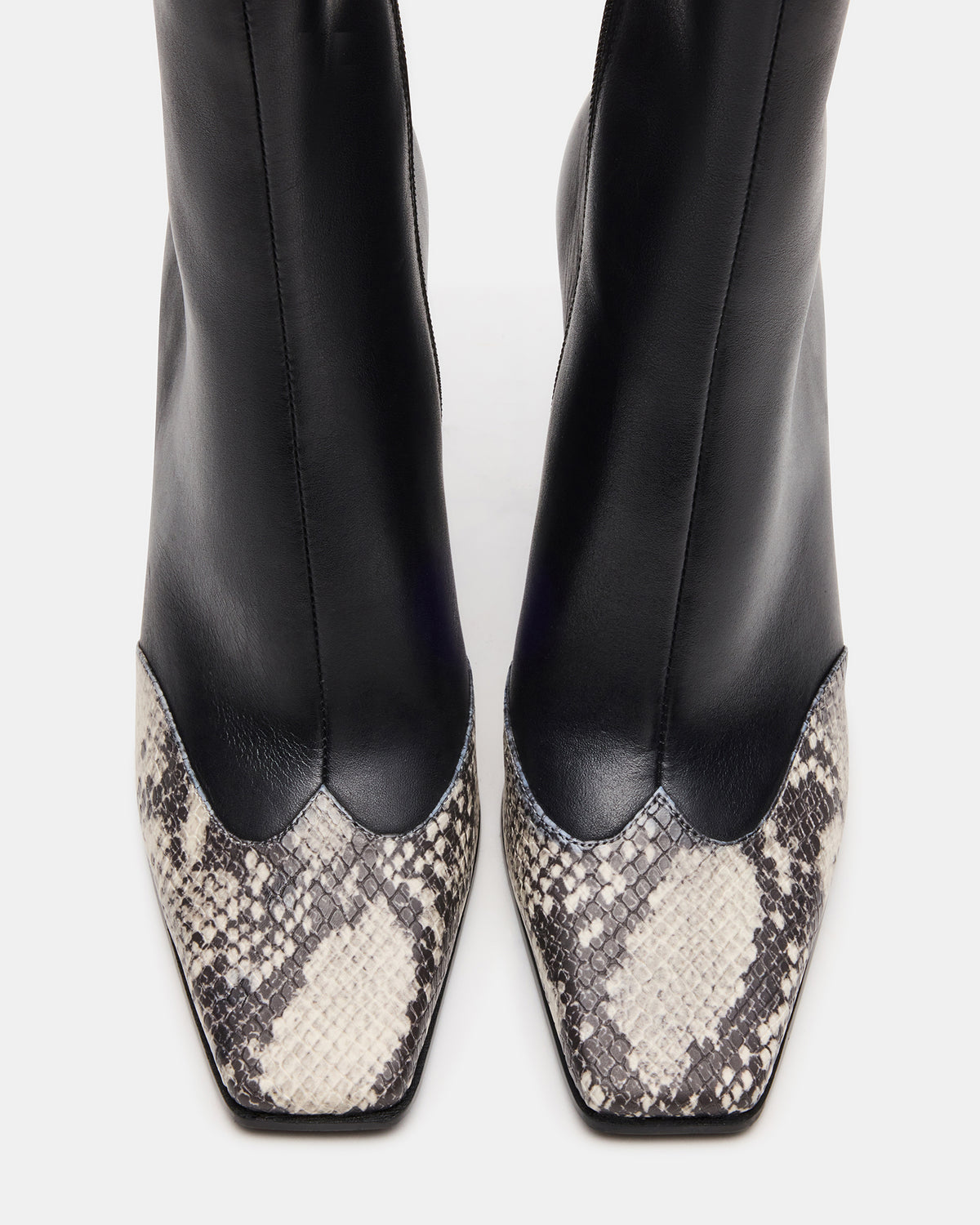 LYLE Black Leather with Snake Square-Toe Heeled Women's Ankle Boot | Steve Madden