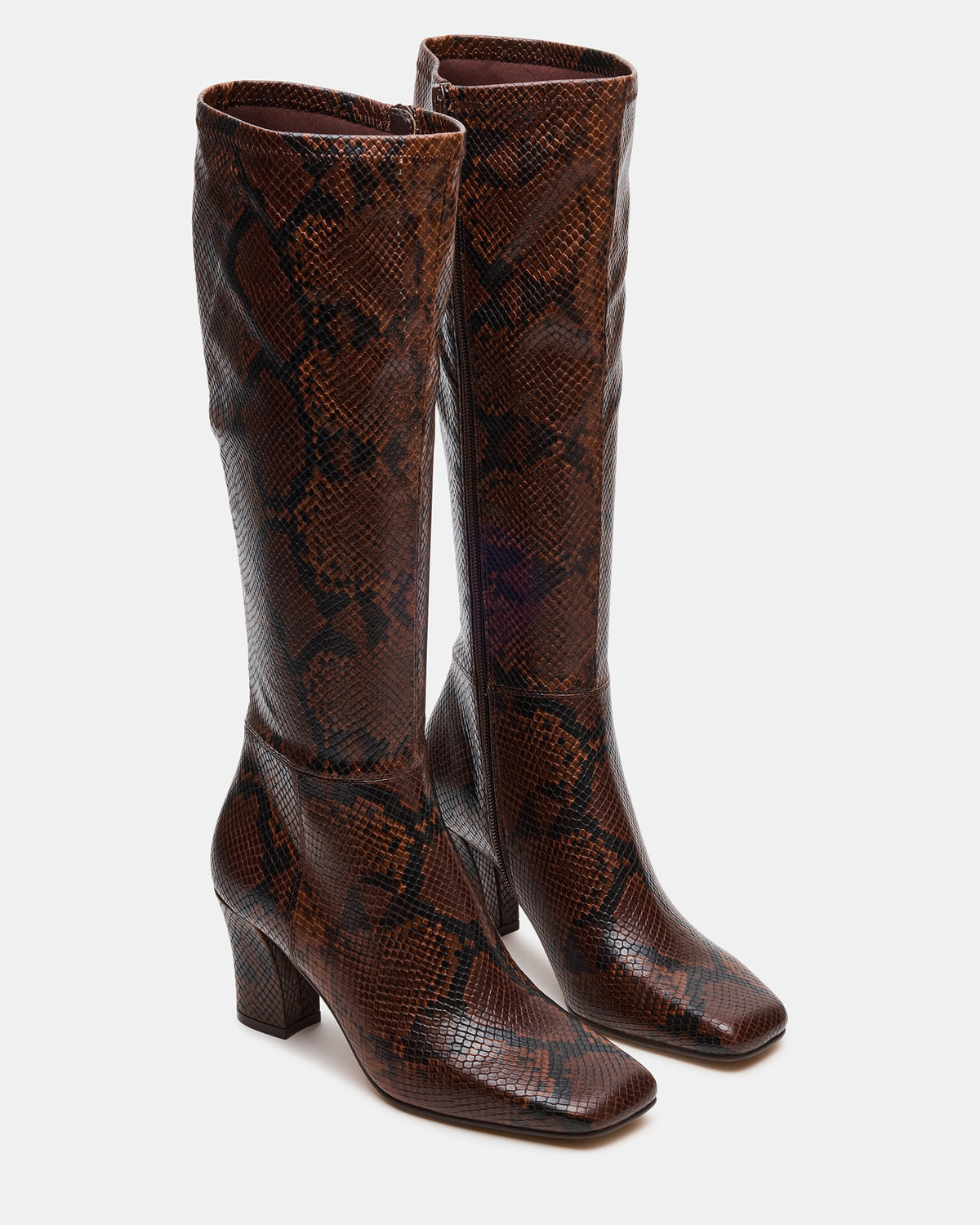 ELLIOT Brown Snake Square-Toe Knee-High Block Heel Women's Boot | Steve Madden