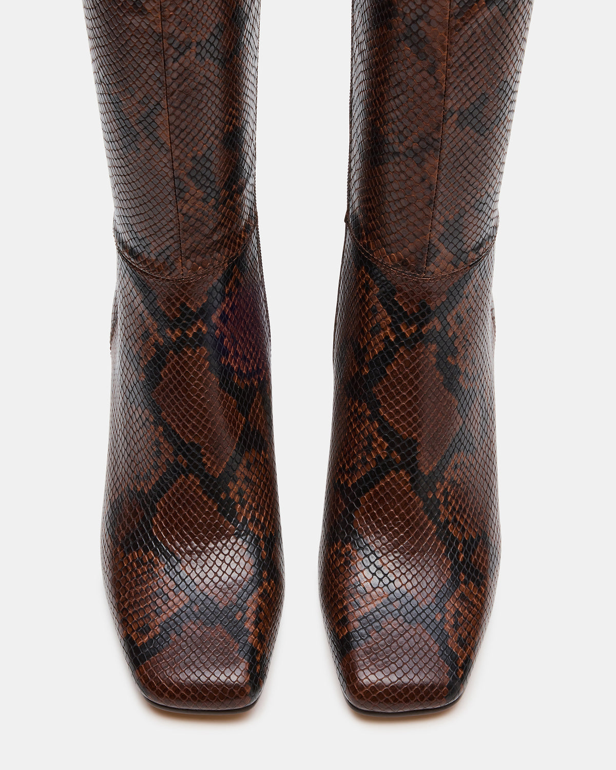 ELLIOT Brown Snake Square-Toe Knee-High Block Heel Women's Boot | Steve Madden