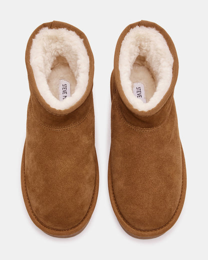 COMFY Chestnut Suede Women's Ankle Boot | Steve Madden