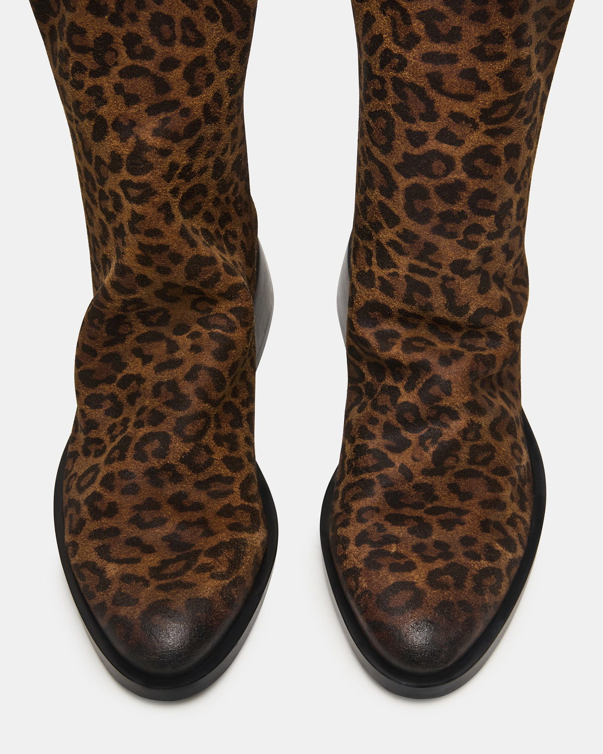 NEXIE Leopard Women's Pointed-Toe Ankle Boot | Steve Madden