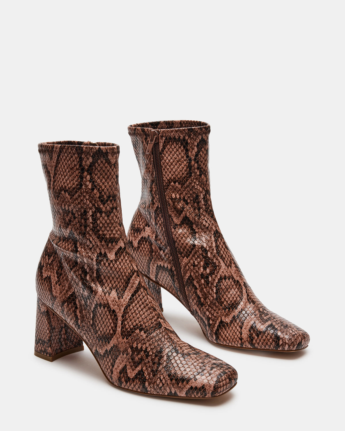 HUSH Snake Square Toe Bootie | Women's Ankle Boots | Steve Madden