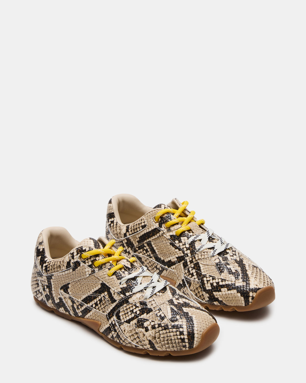 AZIEL Tan Snake Low-Top Lace-Up Women's Sneakers | Steve Madden