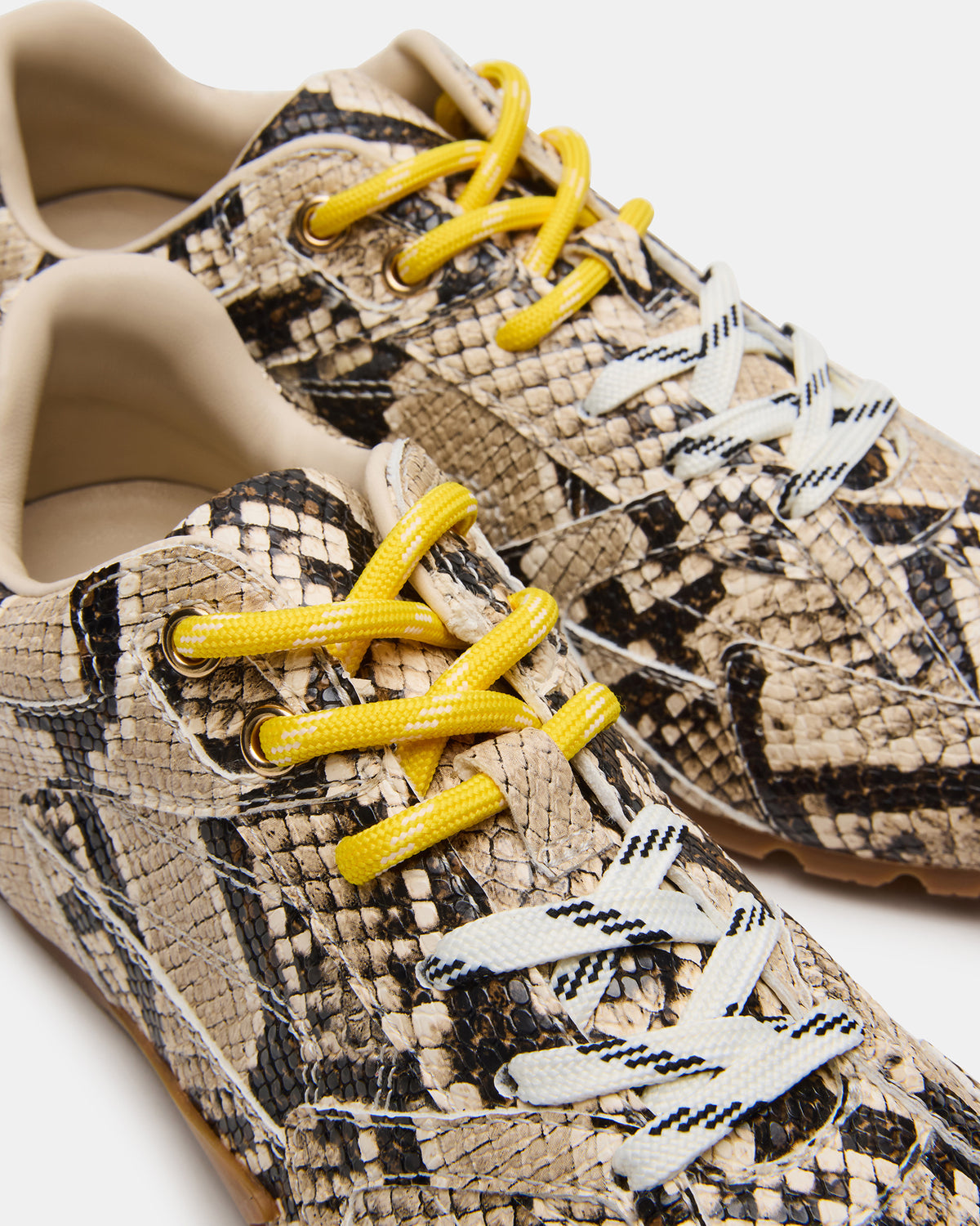 AZIEL Tan Snake Low-Top Lace-Up Women's Sneakers | Steve Madden