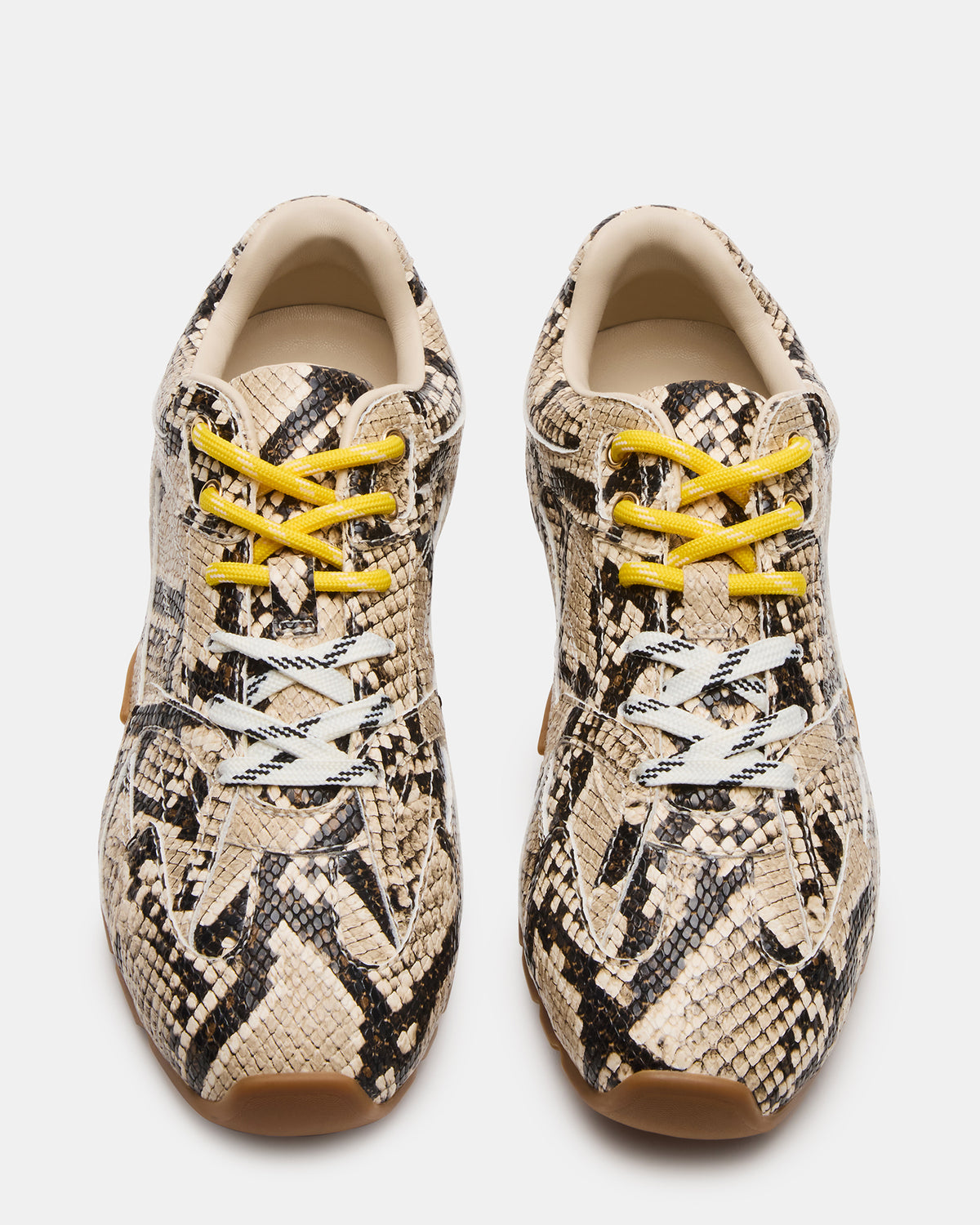 AZIEL Tan Snake Low-Top Lace-Up Women's Sneakers | Steve Madden