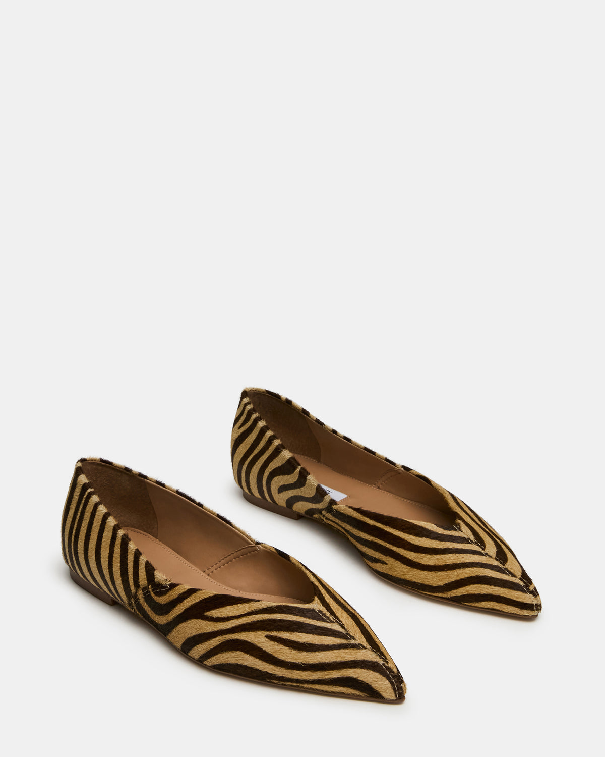TOVI Tiger Pointed-Toe Ballet Women's Flat | Steve Madden