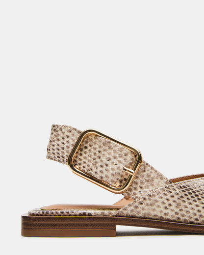 SHAY Snake Pointed-Toe Slingback Ballet Women's Flat | Steve Madden