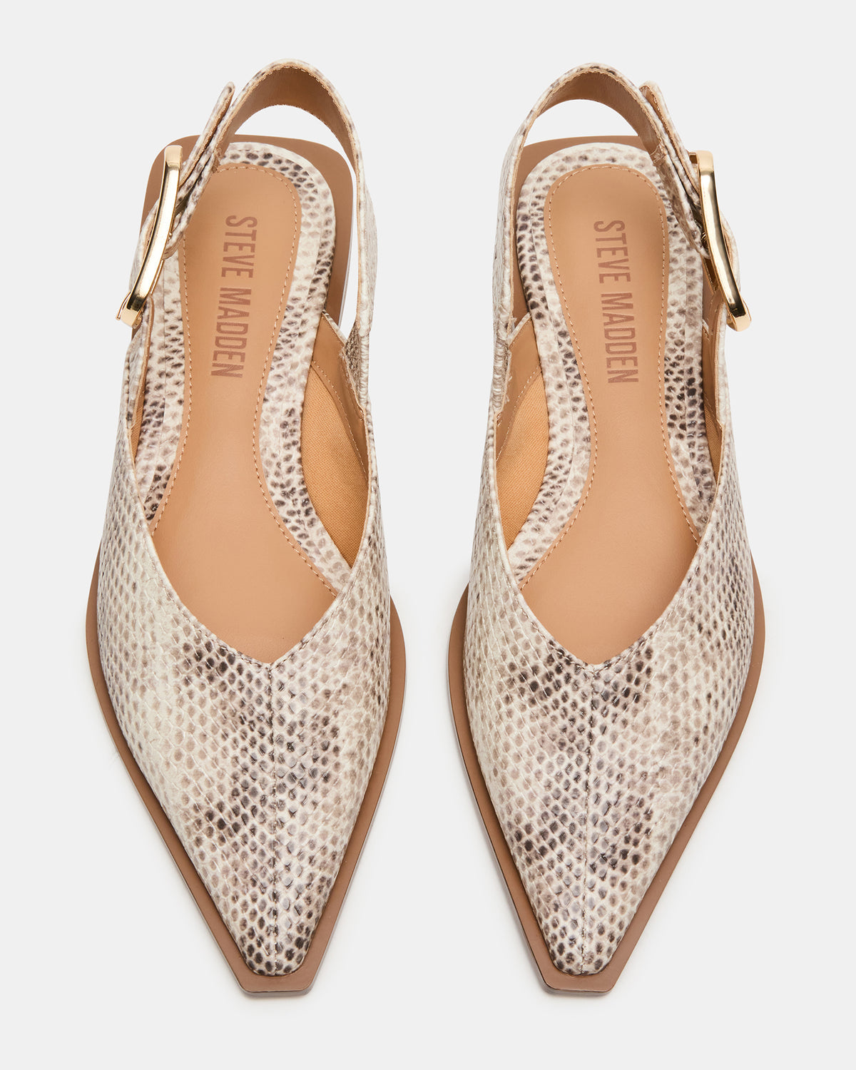 SHAY Snake Pointed-Toe Slingback Ballet Women's Flat | Steve Madden