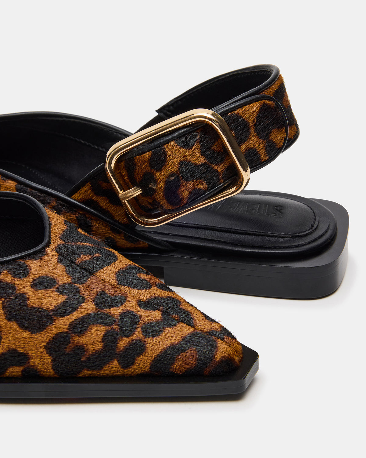 SHAY Leopard Pointed-Toe Slingback Ballet Women's Flat | Steve Madden