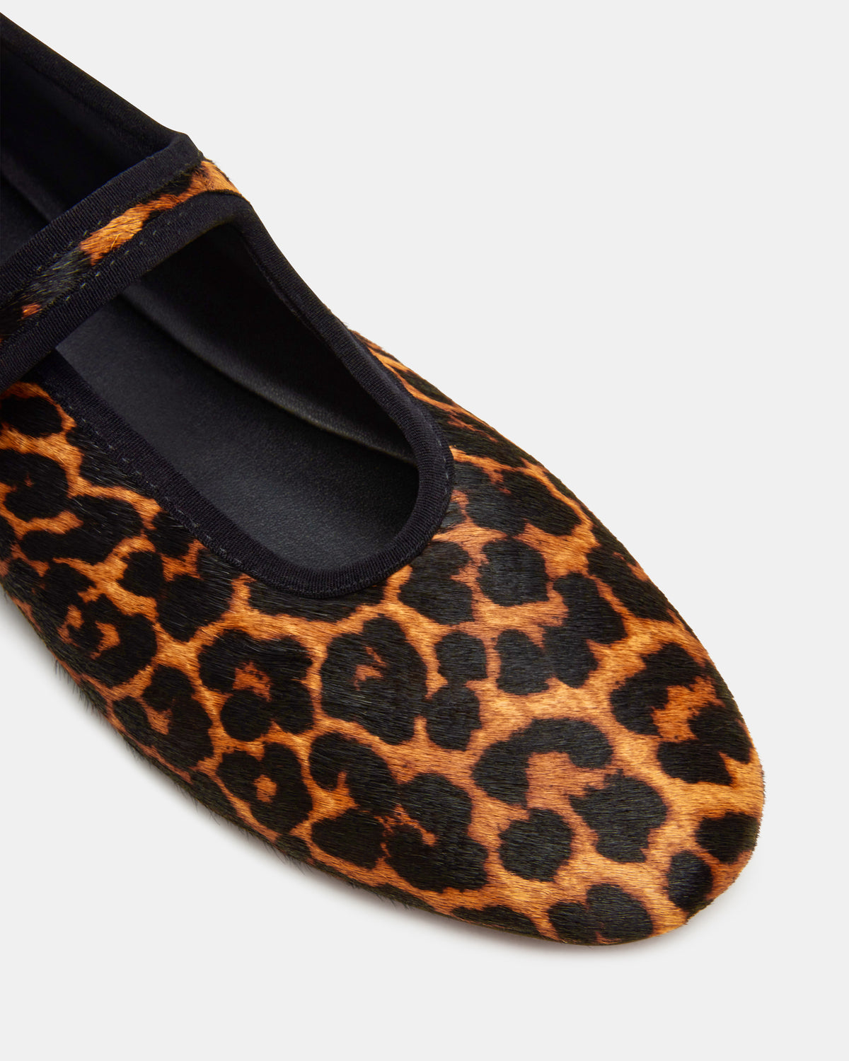 DREAMING Leopard Women's Mary Jane Flats | Steve Madden