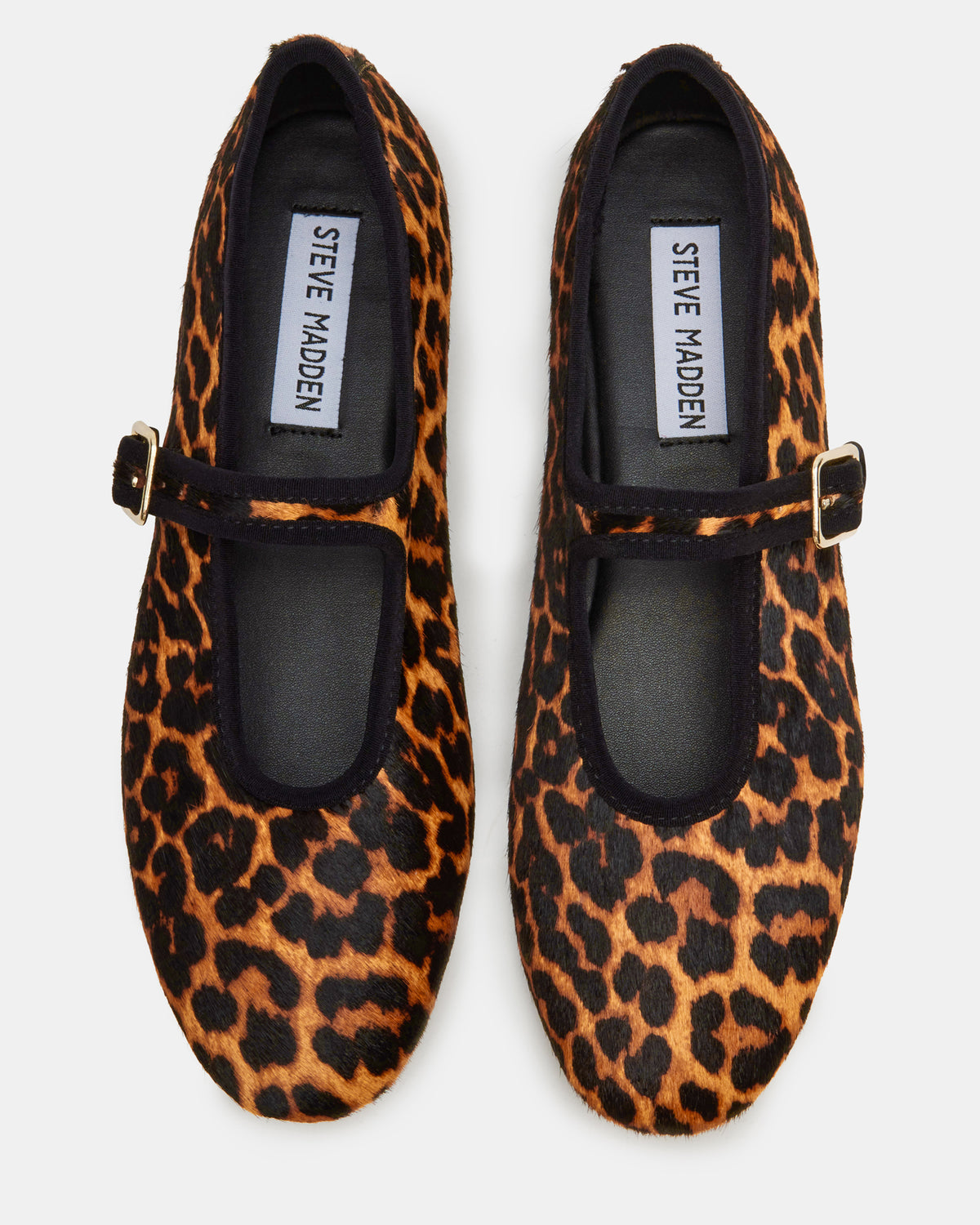 DREAMING Leopard Women's Mary Jane Flats | Steve Madden