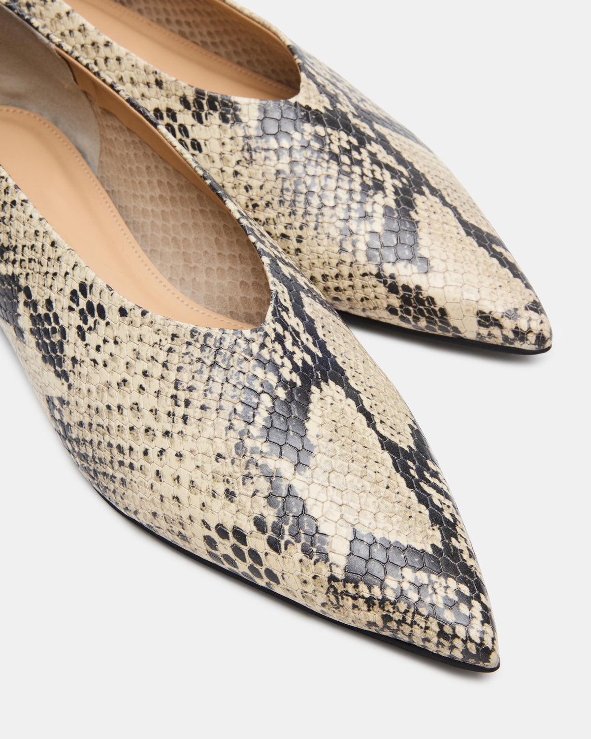 FLOYD Snake Pointed-Toe Ballet Women's Flat | Steve Madden