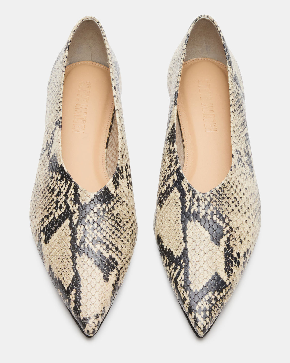 FLOYD Snake Pointed-Toe Ballet Women's Flat | Steve Madden