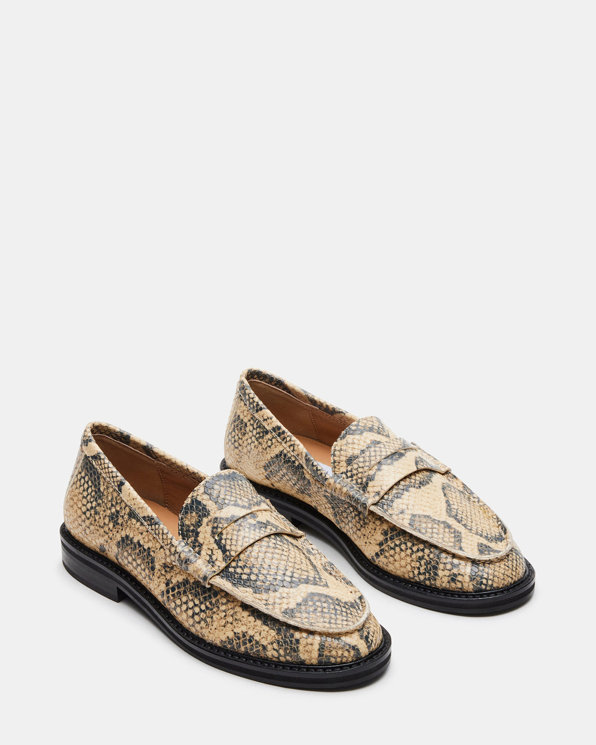 MADISON Snake Women's Penny Loafer | Steve Madden