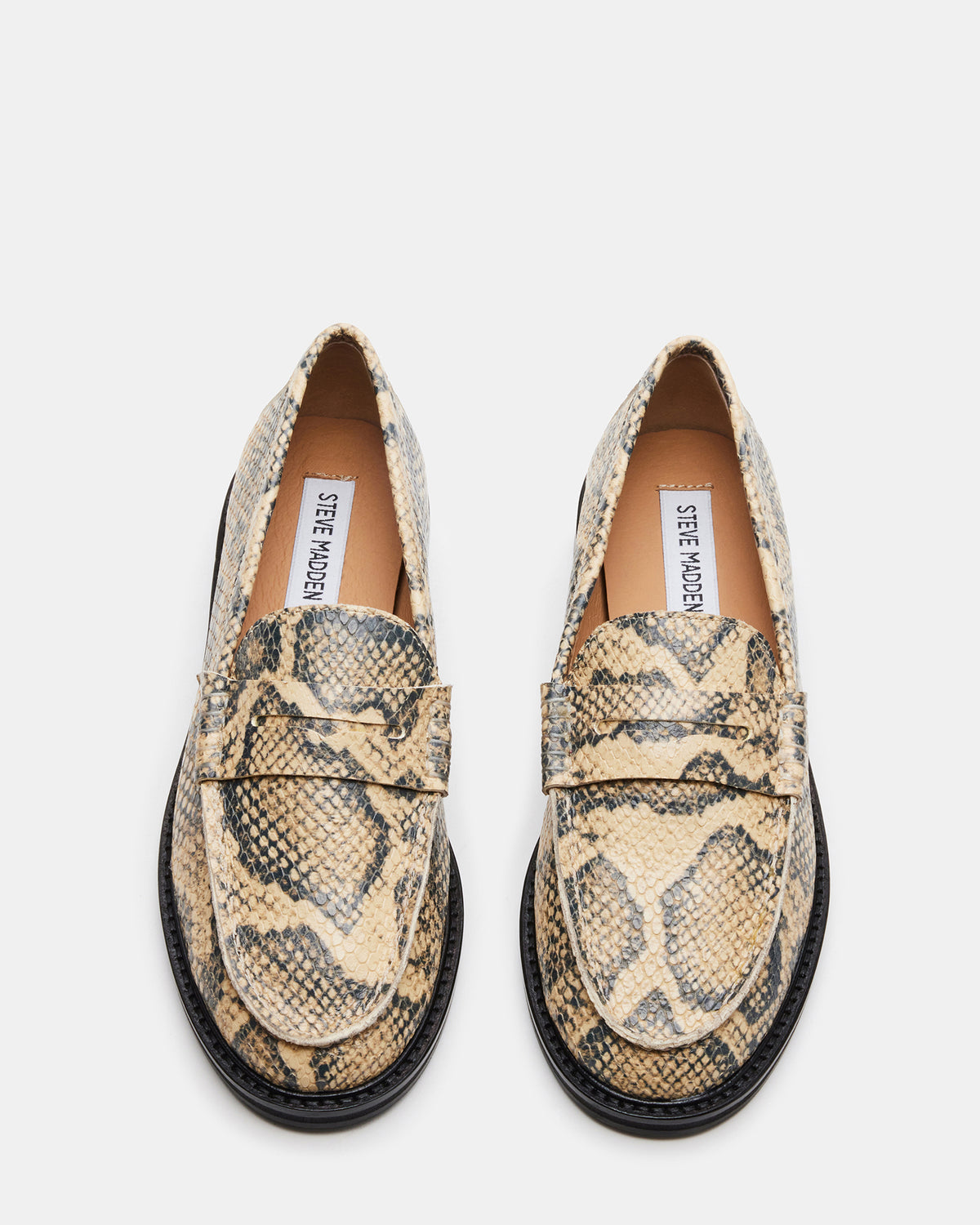 MADISON Snake Women's Penny Loafer | Steve Madden