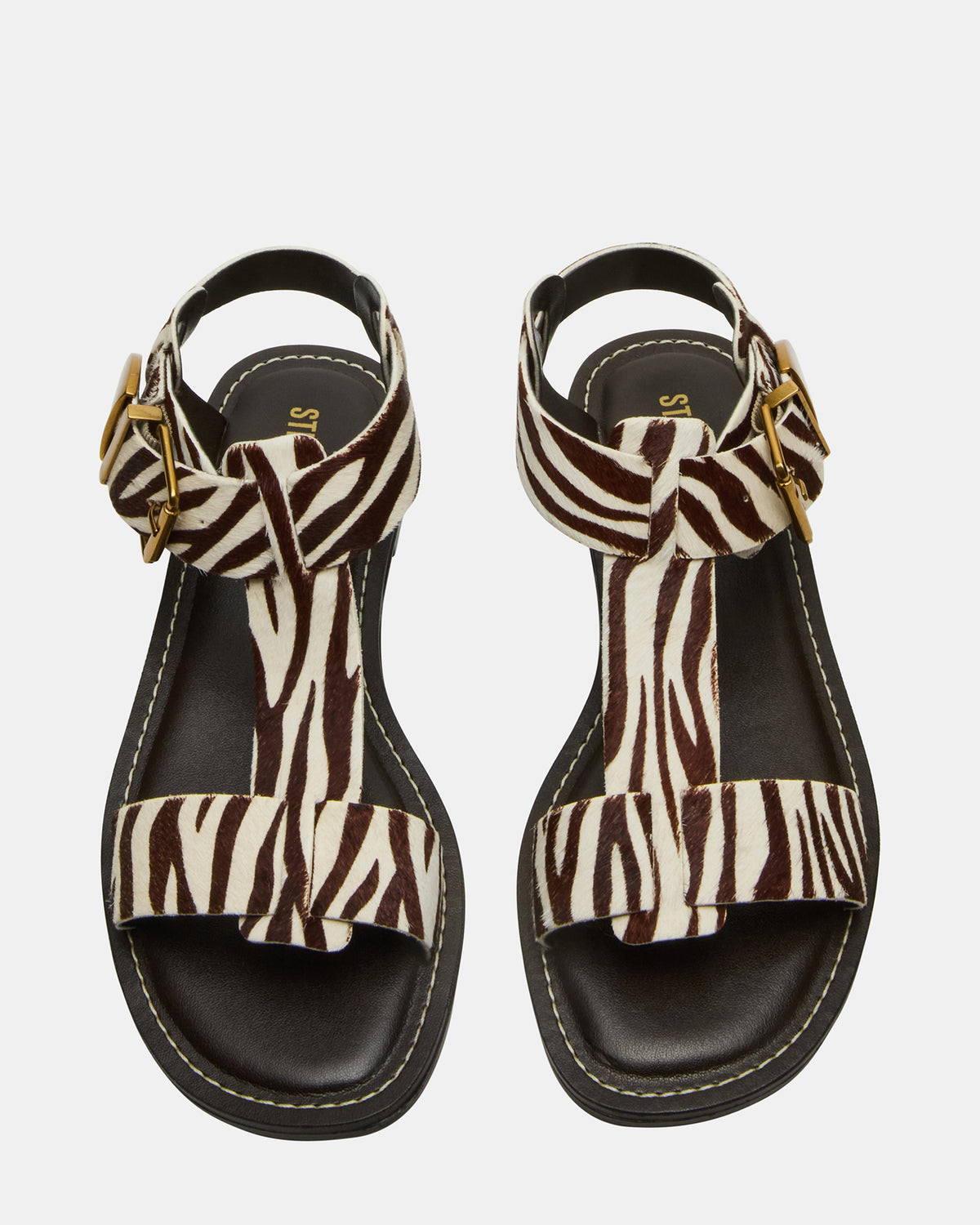 BRAZINN Zebra Strappy Flat Sandal Women's Sandal | Steve Madden