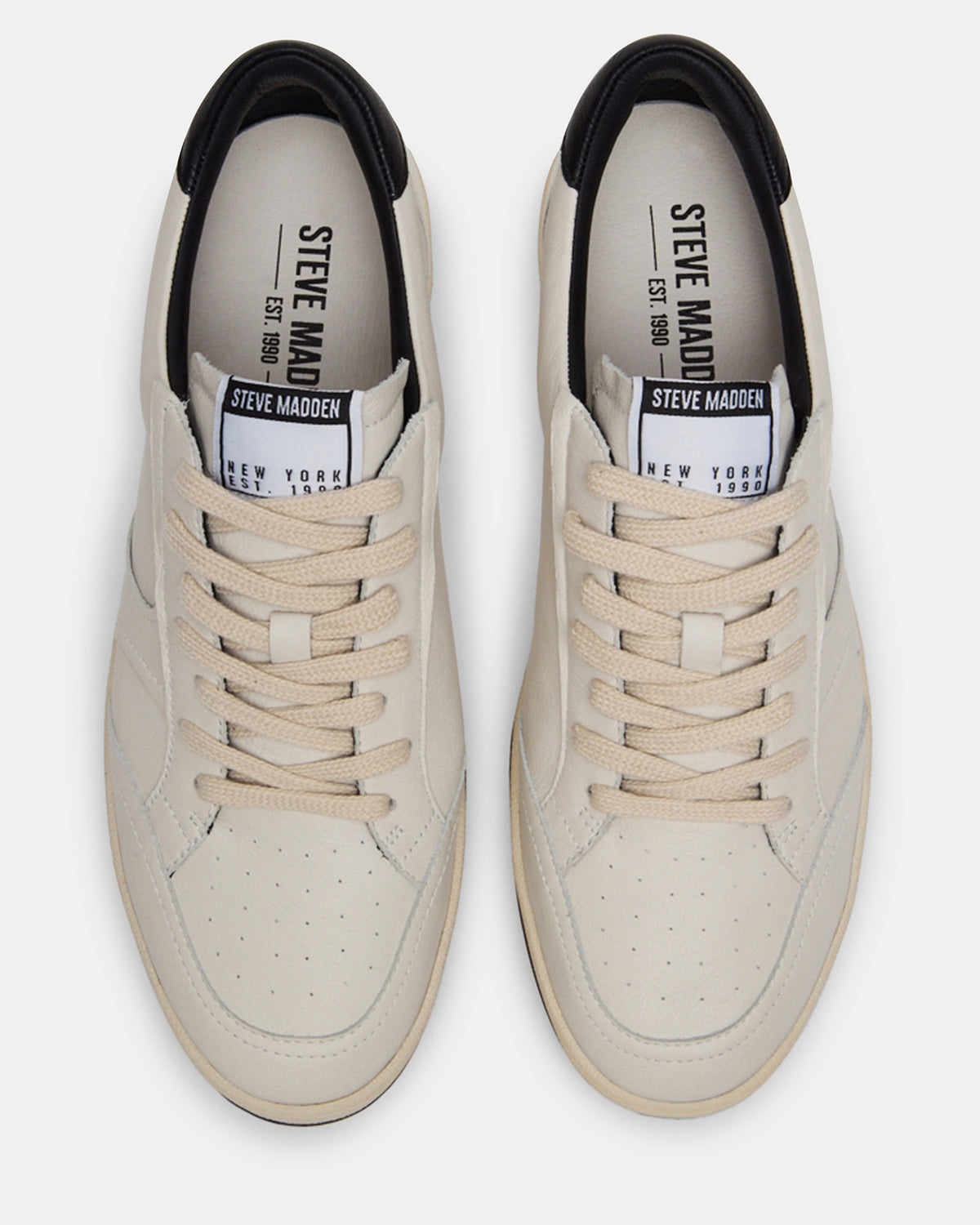 PRISMO Black Multi Low-Top Lace-Up Men's Sneaker | Steve Madden