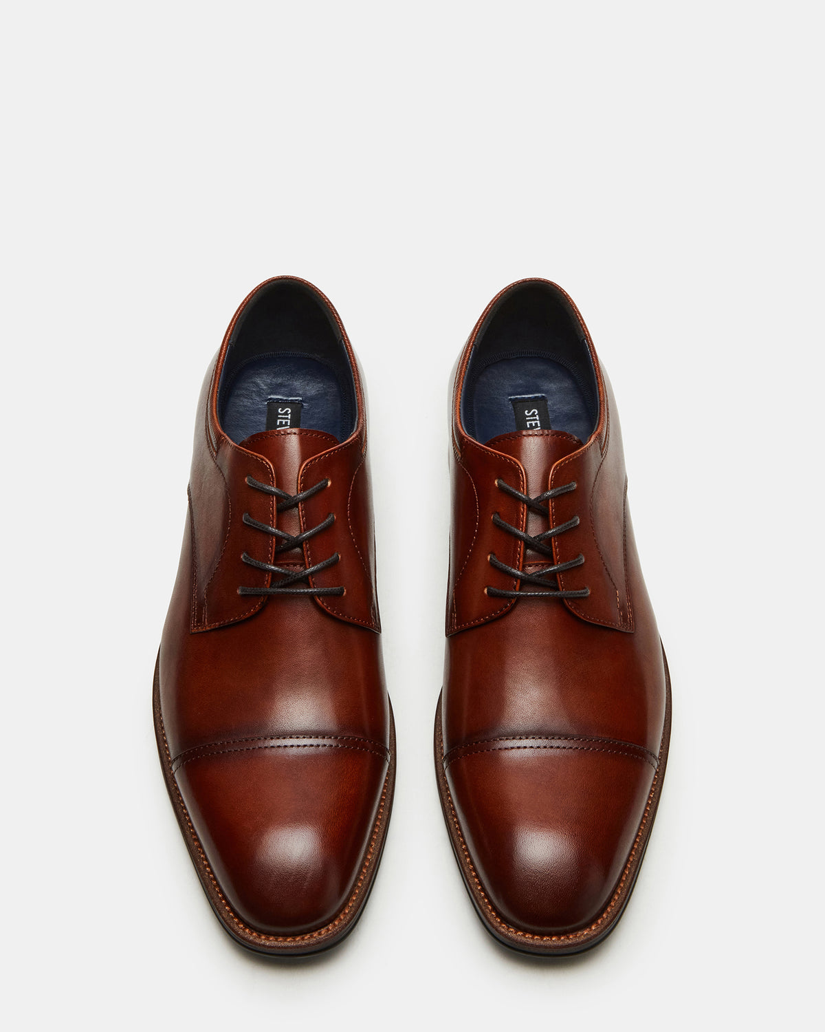 HASEN Tan Leather Men's Lace-Up Dress Shoe | Steve Madden