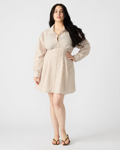 ARIA Taupe Women's Button-Up Mini Dress | Steve Madden