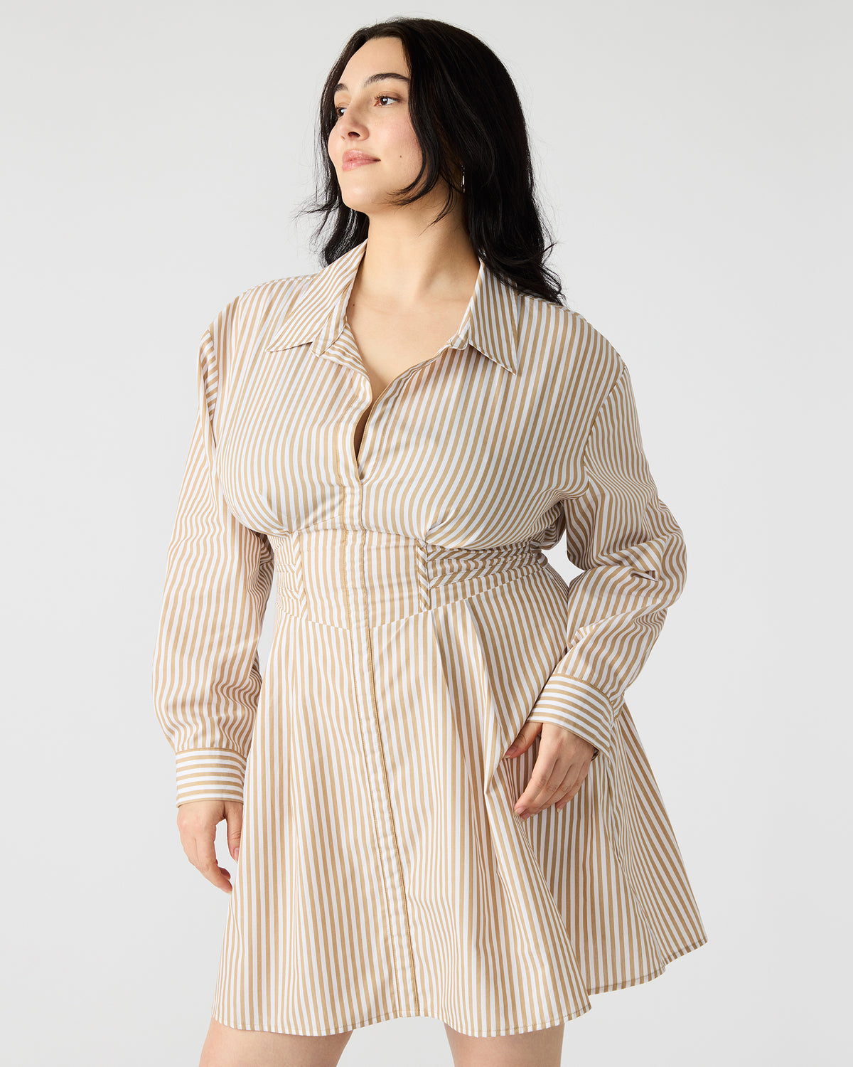 ARIA Taupe Women's Button-Up Mini Dress | Steve Madden