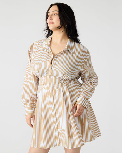 ARIA Taupe Women's Button-Up Mini Dress | Steve Madden