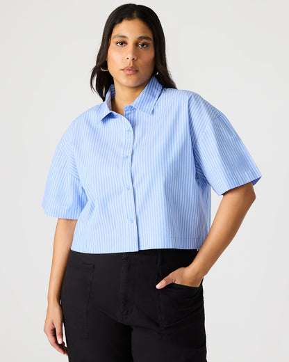 TULA Blue/White Women's Collared Button-Up Pinstripe Top | Steve Madden