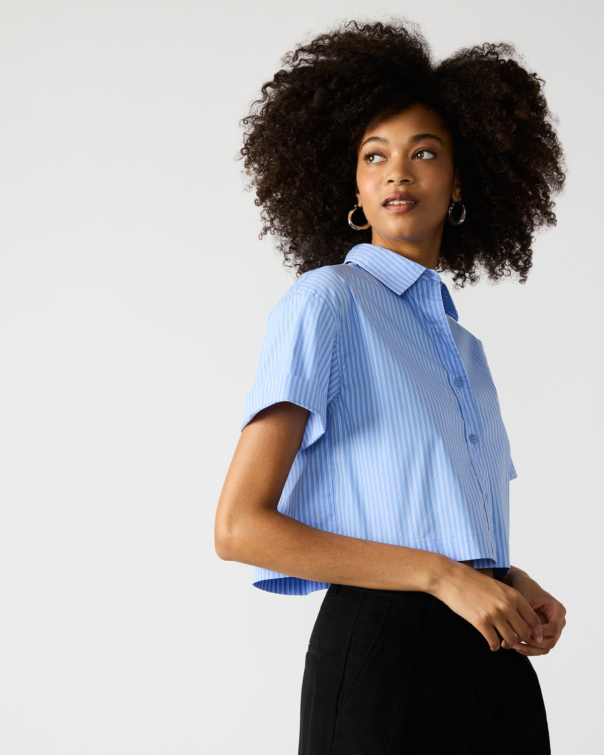 TULA Blue/White Women's Collared Button-Up Pinstripe Top | Steve Madden