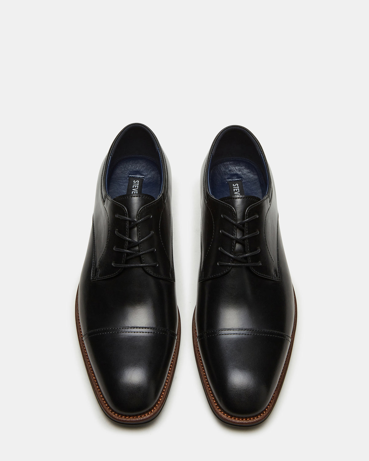 HASEN Black Leather Men's Lace-Up Dress Shoe | Steve Madden